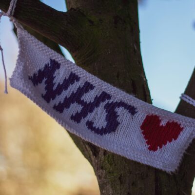 white and red knit textile on brown tree branch