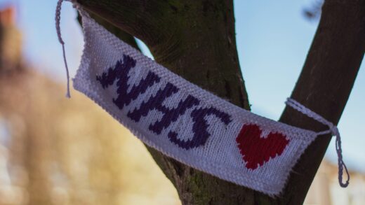 white and red knit textile on brown tree branch